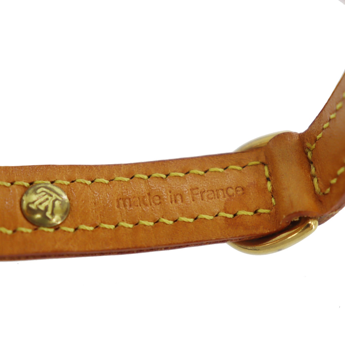 Louis Vuitton LV Collier Baxter Dog Collar MM & Dog Leash MM Monogram #CY753