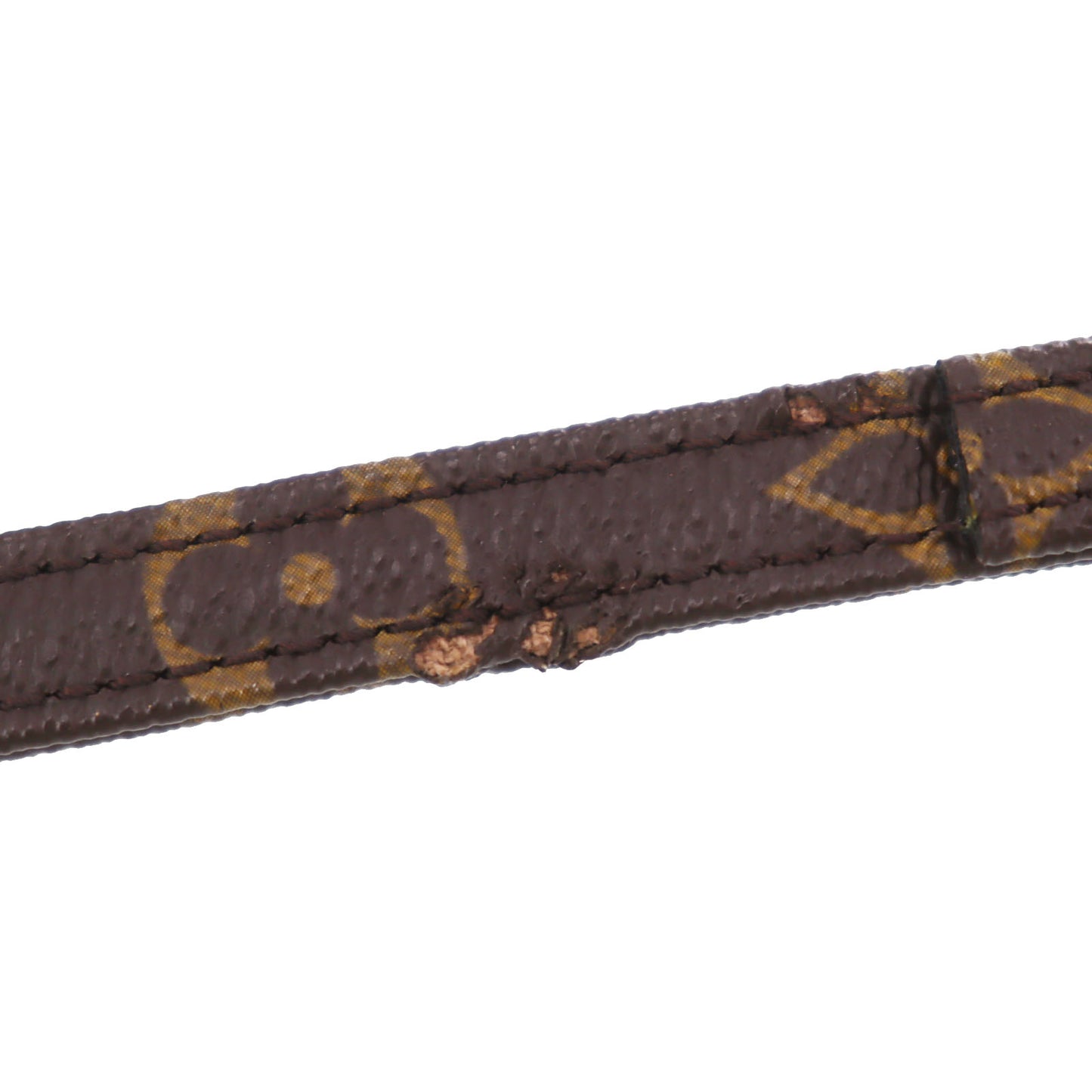 Louis Vuitton LV Collier Baxter Dog Collar MM & Dog Leash MM Monogram #CY753