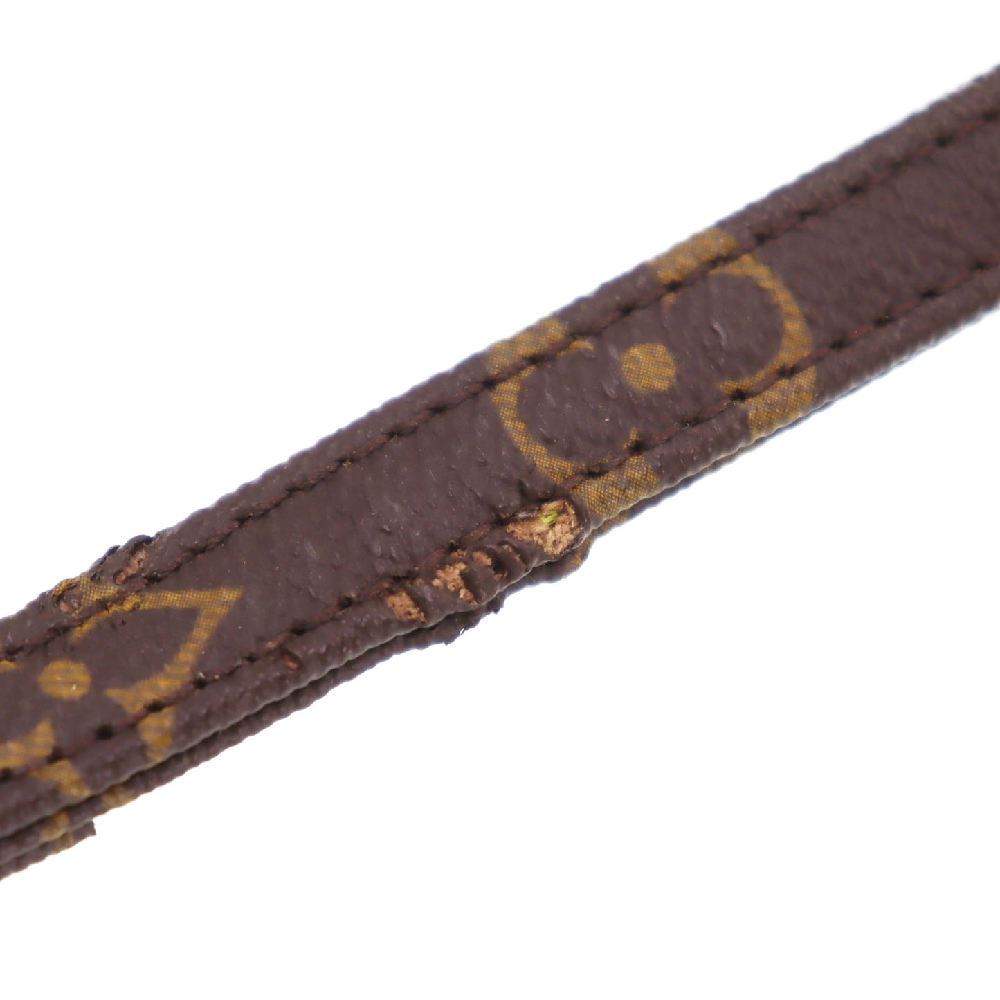 Louis Vuitton LV Collier Baxter Dog Collar MM & Dog Leash MM Monogram #CY753