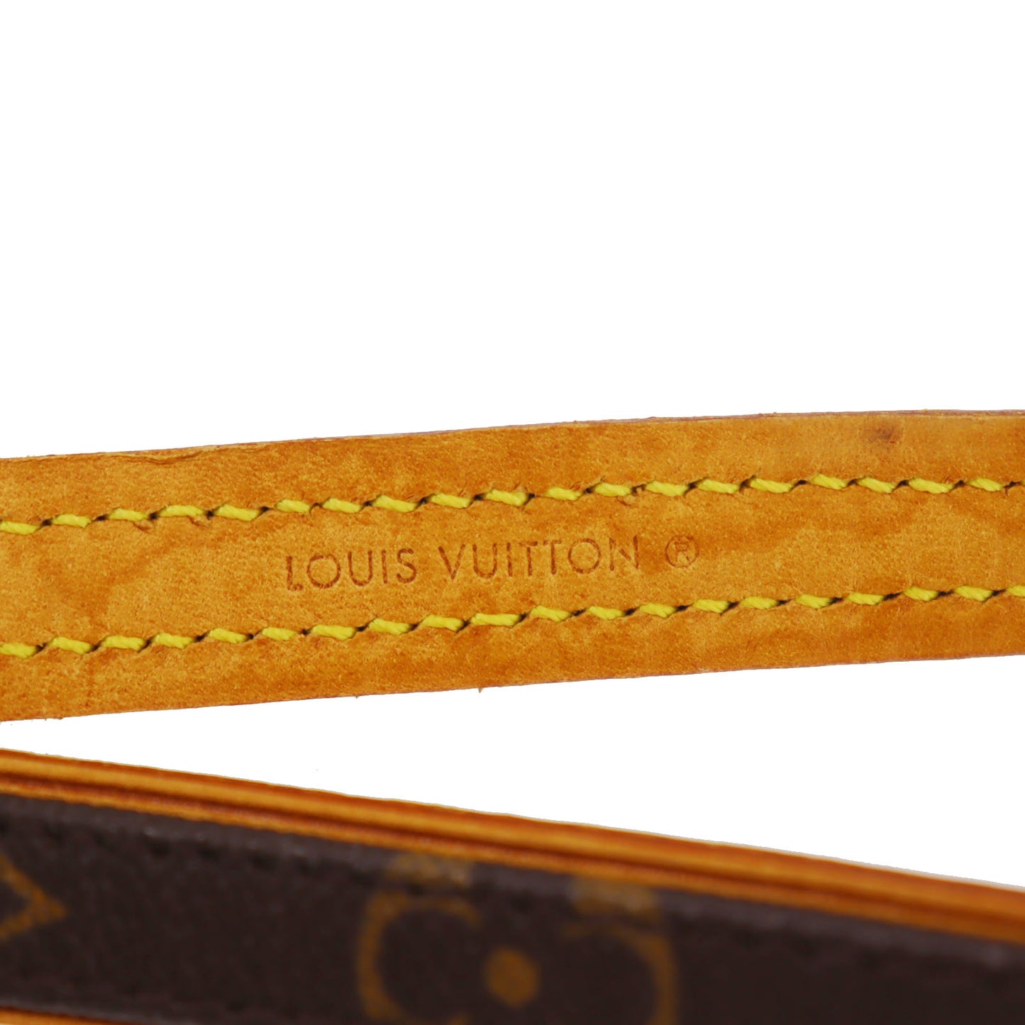 Louis Vuitton LV Collier Baxter Dog Collar MM & Dog Leash MM Monogram #CY753