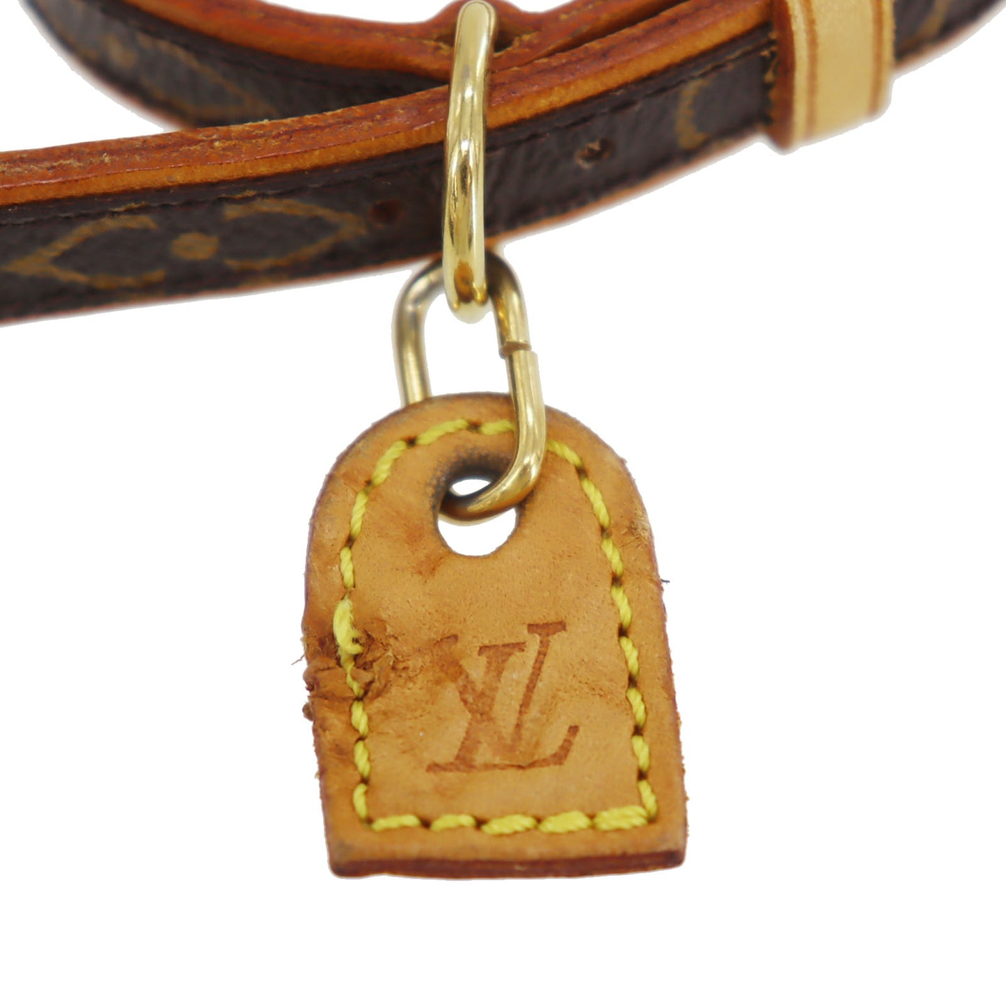 Louis Vuitton LV Collier Baxter Dog Collar MM & Dog Leash MM Monogram #CY753
