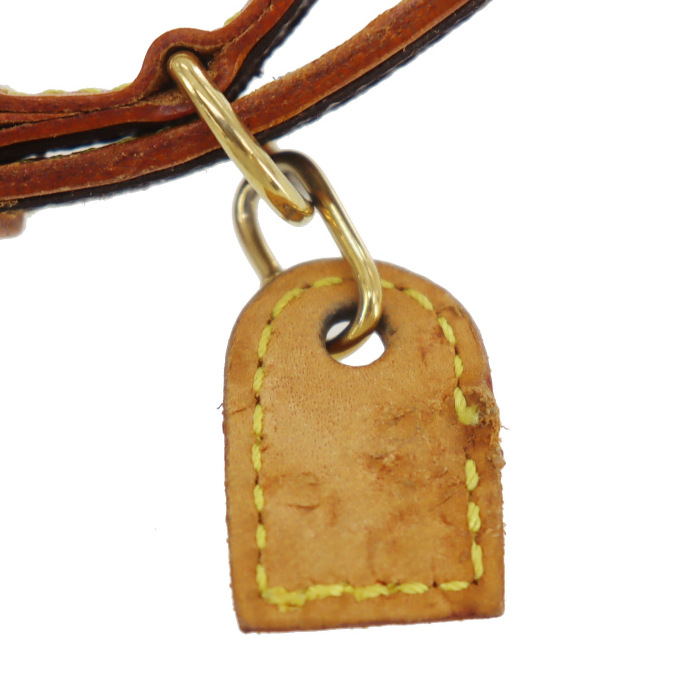 Louis Vuitton LV Collier Baxter Dog Collar MM & Dog Leash MM Monogram #CY753