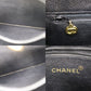 CHANEL Shoulder Tote Bag Caviar Skin Leather #CJ496